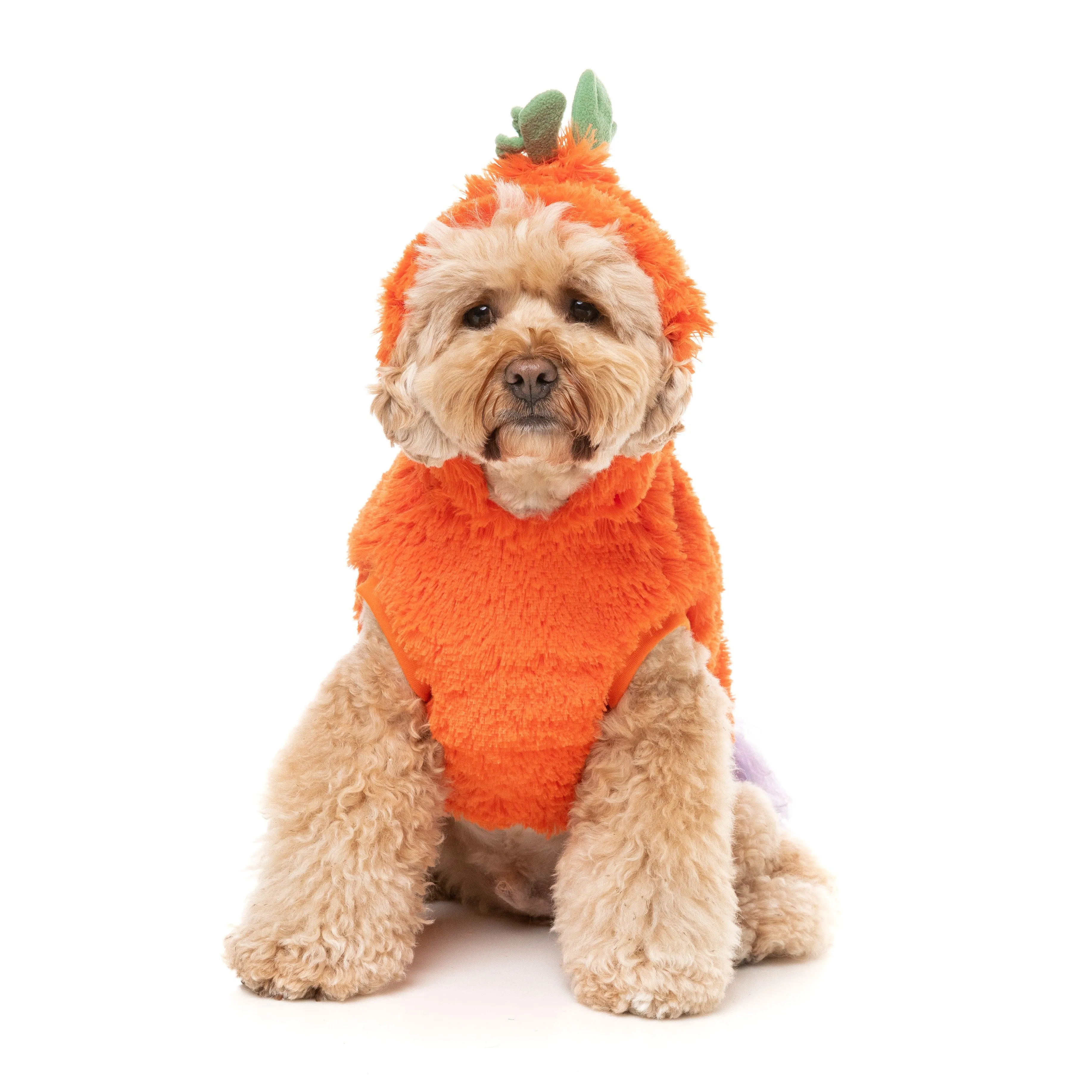 FuzzYard Halloween Dog Apparel Pumpkin Head Hoodie Size 1***