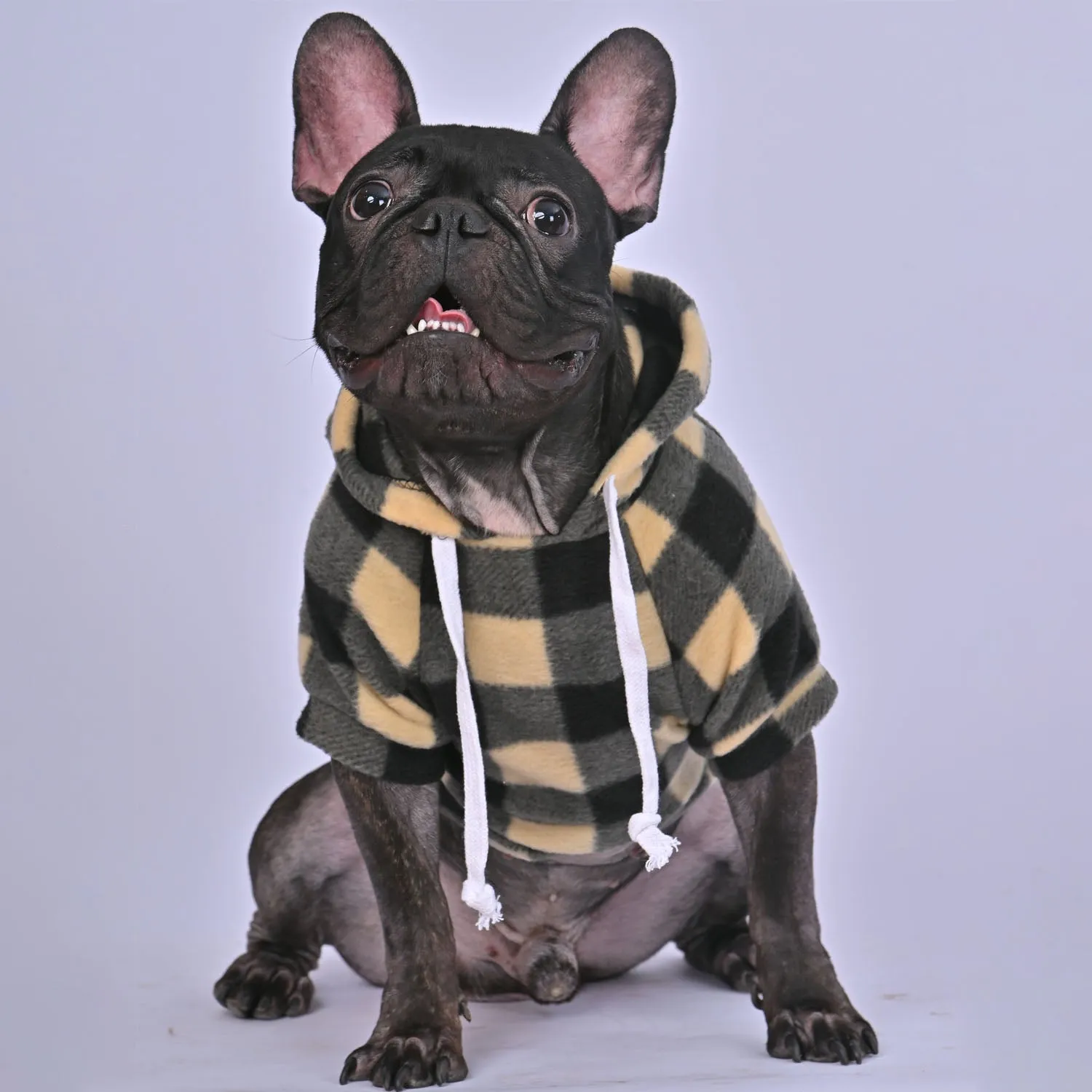 Plaid Printing French Bulldog Warm Hoodies